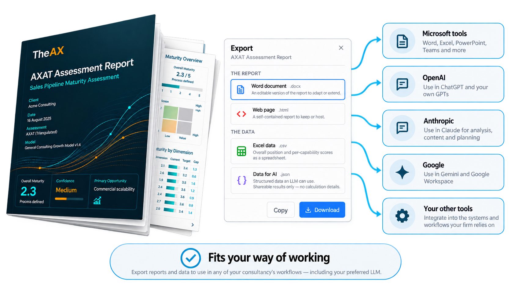 AXAT assessment report export options for Word, web, Excel, AI data, Microsoft tools, OpenAI, Anthropic, Google and other consultancy workflows